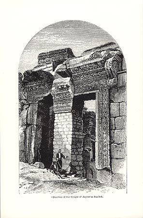 Back Cover, Sod - Son Of Man